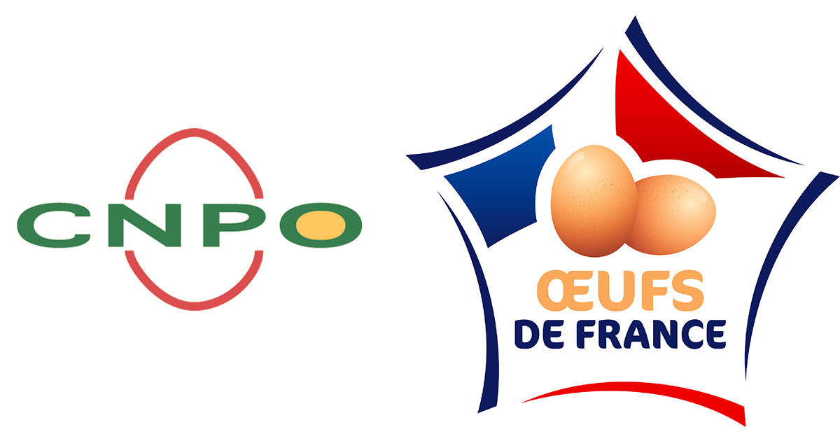 Partenaire 4