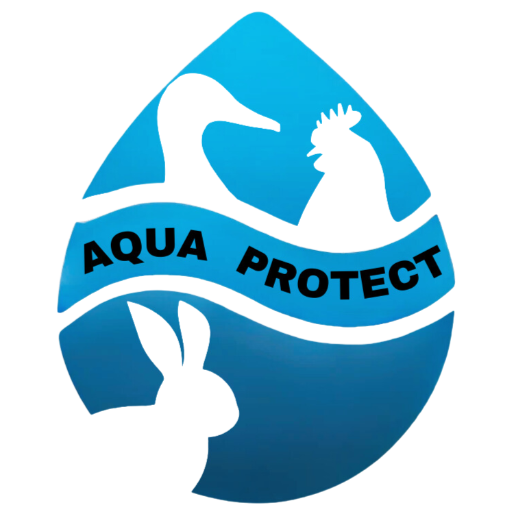 Logo Projet 2