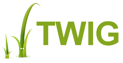 twig